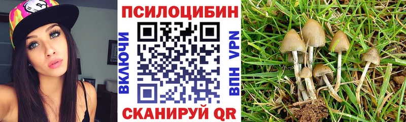 Галлюциногенные грибы Psilocybine cubensis  Константиновск 